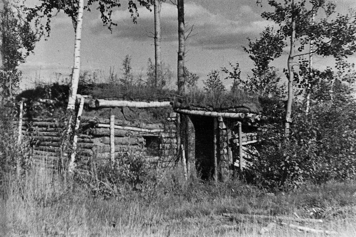 исторический форум герои отечества. исторический форум герои отечества. памятная дата день героев отечества. петербургская молодежь. исторический форум герои отечества.