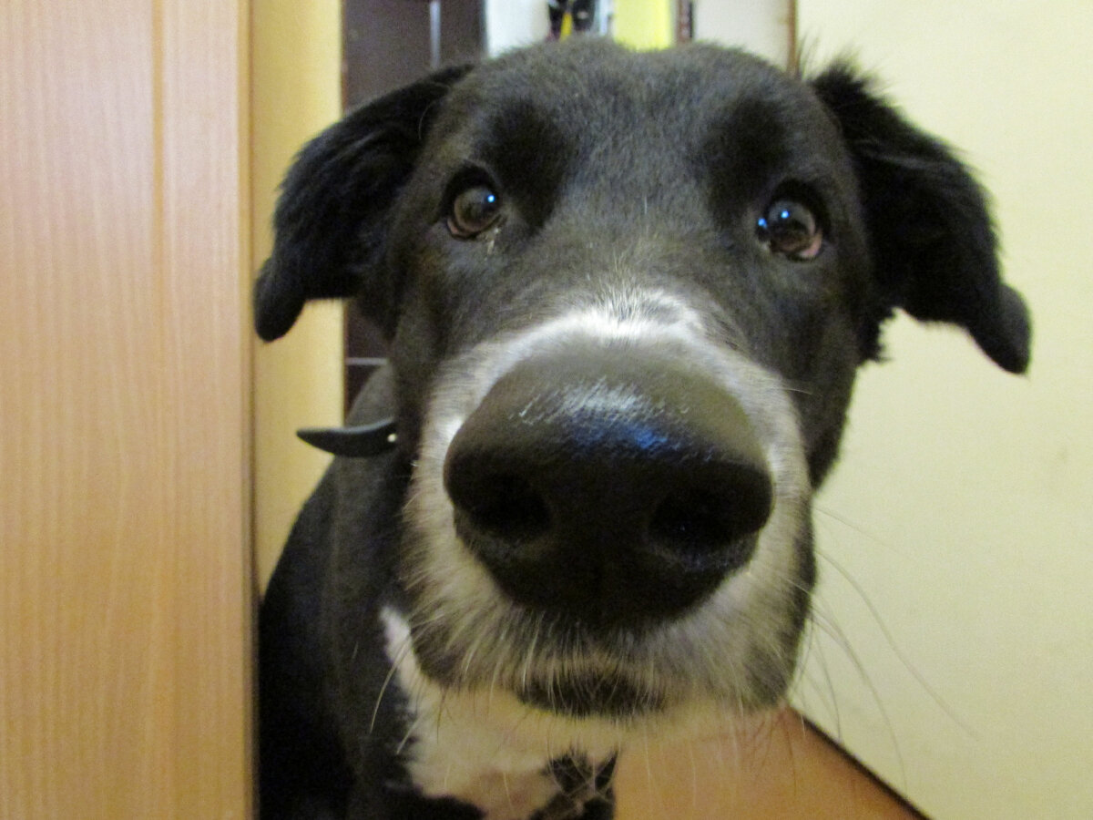 страшные истории мальчики рассказывали. страшные истории из бежина луга. страшные истории мальчики рассказывали. дети рассказывают страшилки. страшные истории мальчики рассказывали.