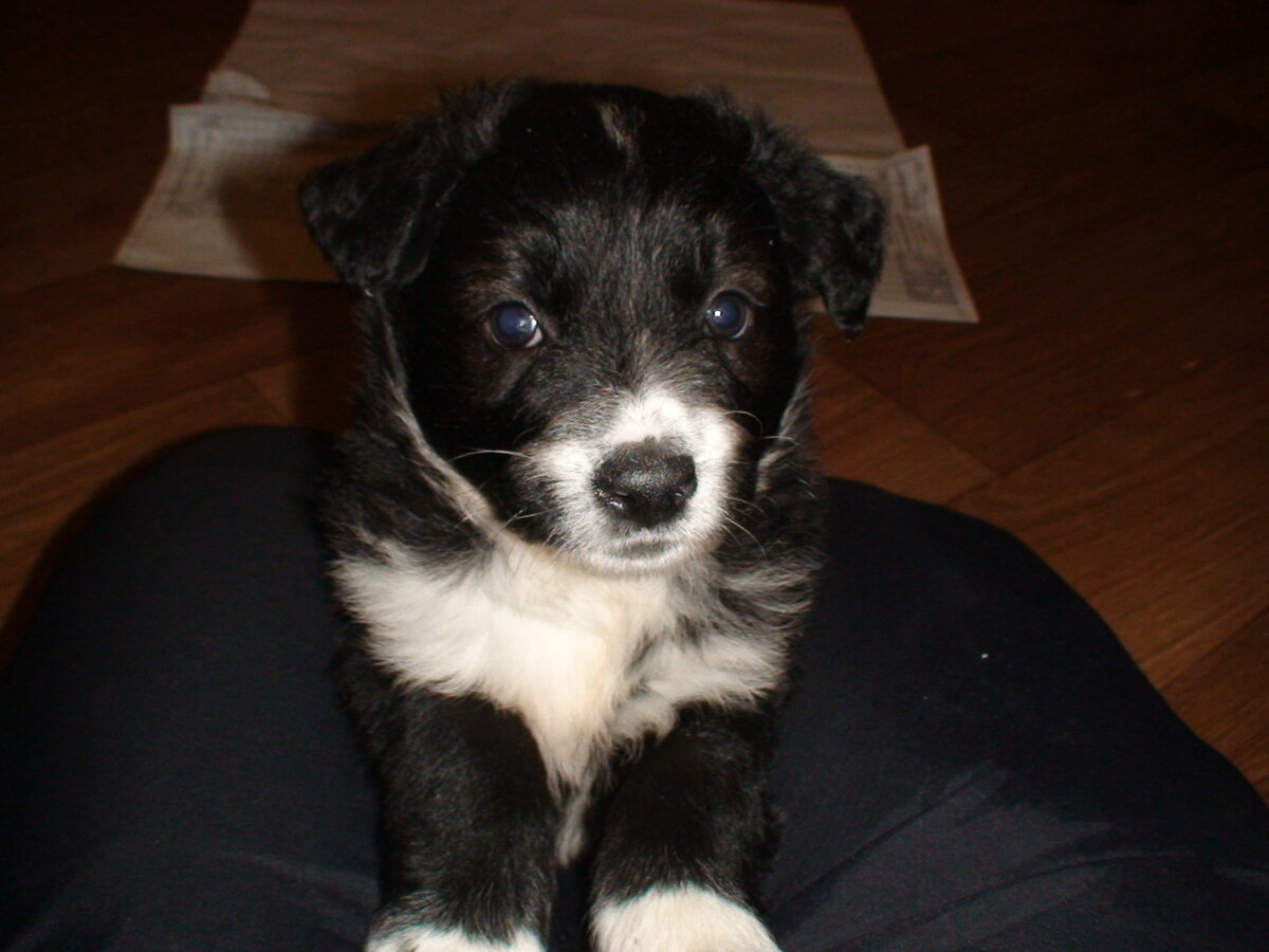 Вот таким карапузом Грэй был маленьким. А я себя малышом и не увижу никогда... Нет фоток.