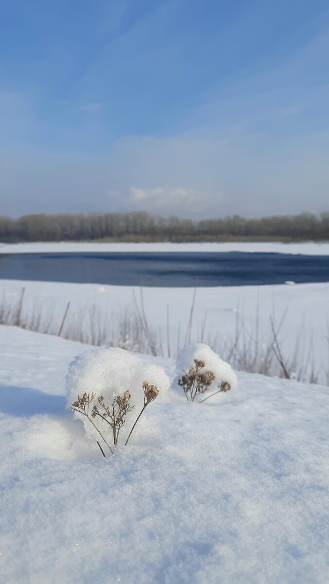 Окрестности Новокузнецка (Кемеровская область)