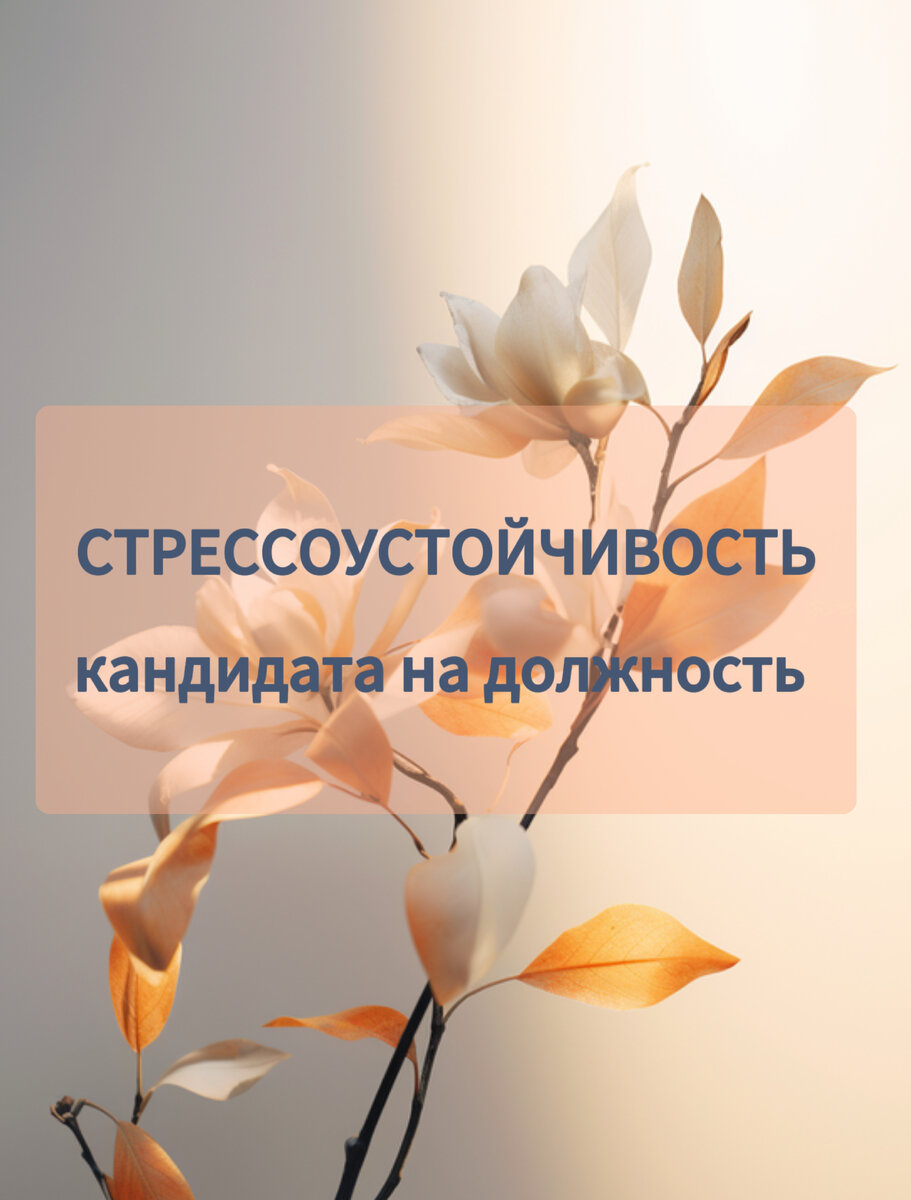 Стрессоустойчивость на собеседовании у кандидата на должность. | Ирина  Хайрулина | Дзен