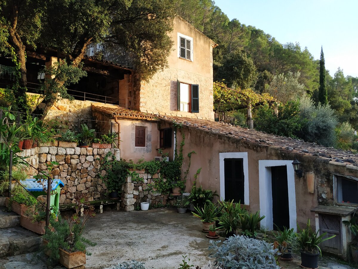 Размещение на острове Майорка в условиях арендованной виллы