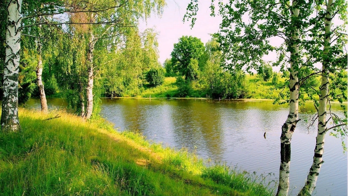 Фоновая о родине. Жигулин о Родина. Русь река береза. Родина березы речка Россия. Река Каменка Березовая роща