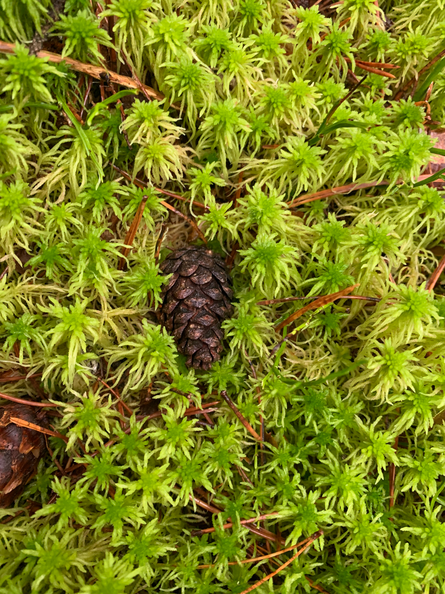 Пряжа "лён" 100% лён 330м-100гр. 1 р с лен. 1 р с лен. 1 р с лен. 1 р с лен.