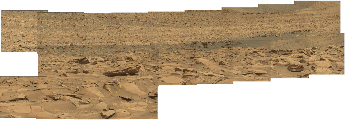 бархан сарыкум ящерица круглоголовка. трещина фотографии змеи. аллювиальные болотные почвы профиль. зыбучие пески в пустыне. ядовитая змея песчаная эфа.