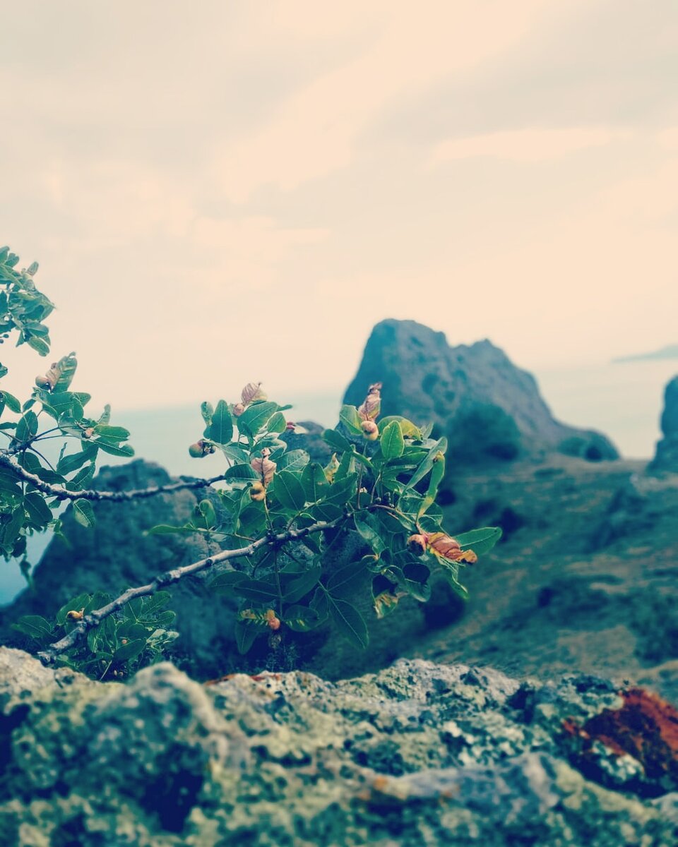 Экотропа по Карадагу