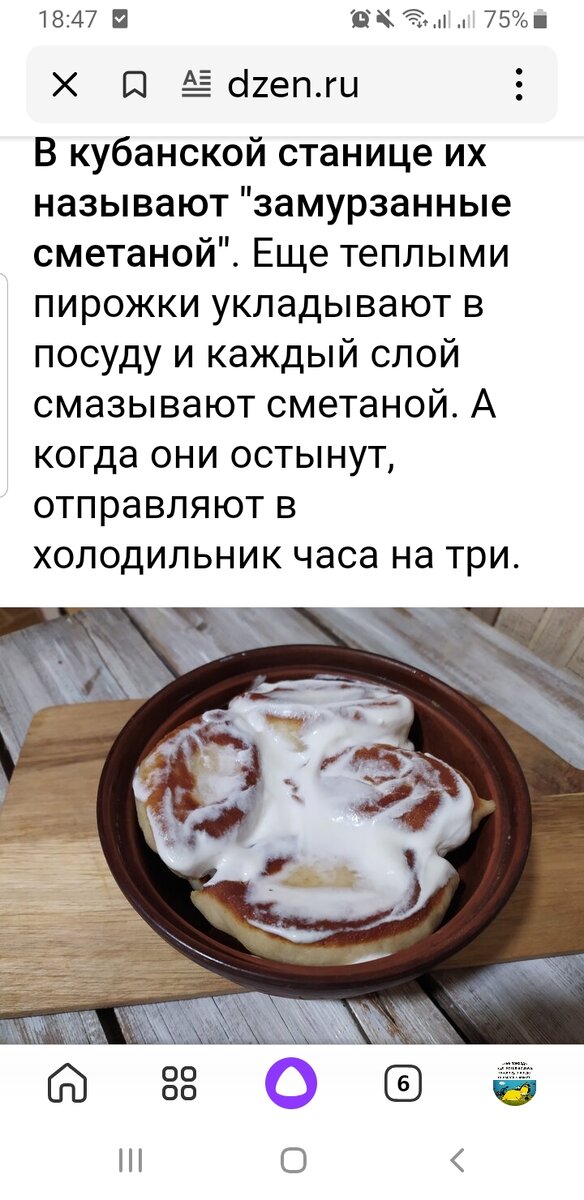 Скриншот части статьи на Дзен.