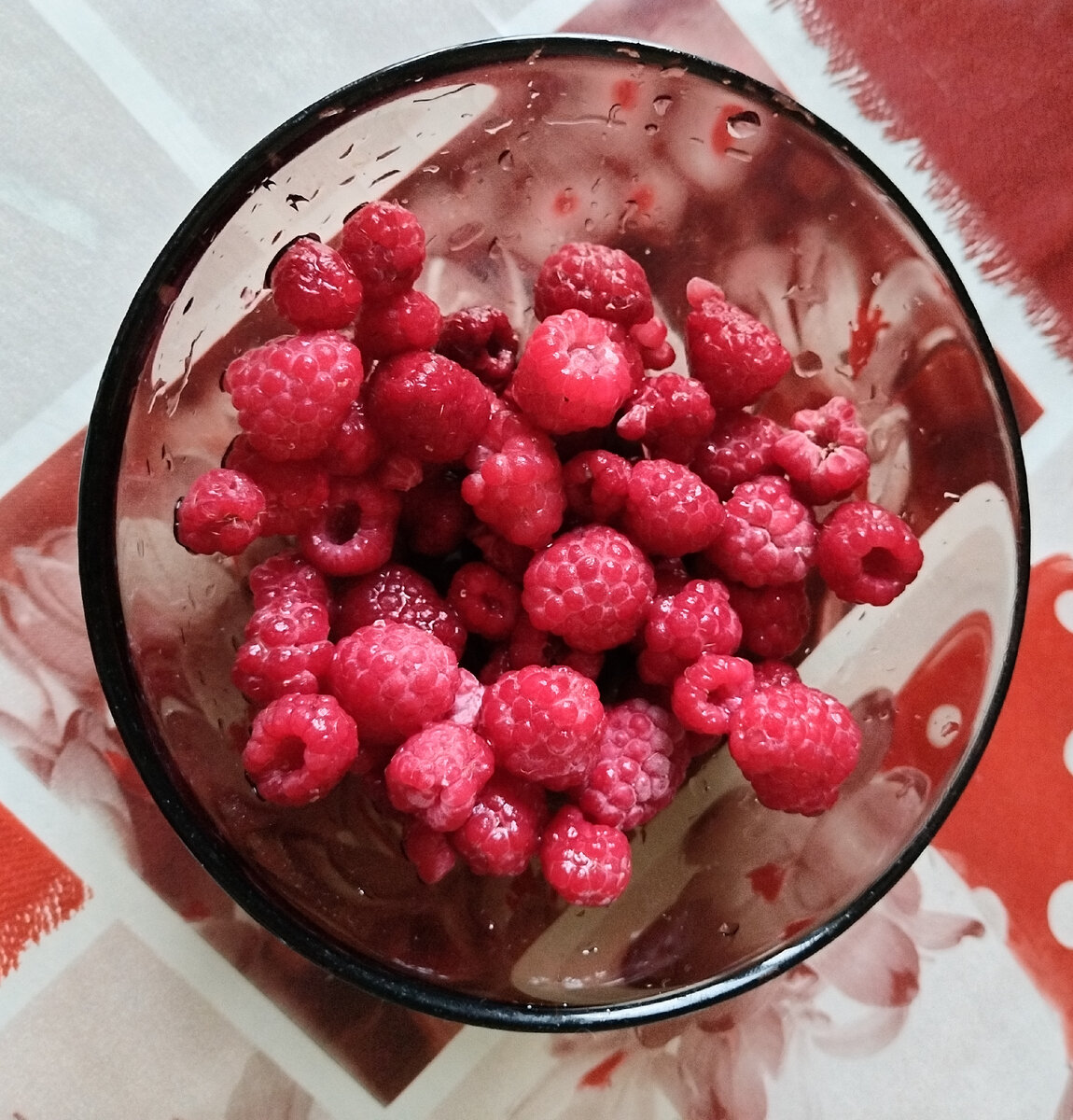 Конь юлий ой дурааак. Карикатура скучаю. Смешные картинки. Травка зеленеет зимний дождик льет в сапогах резиновых дед мороз. Эх уж как пал туман на поле чистое слушать.