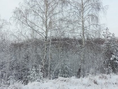 Фотография из личного архива автора