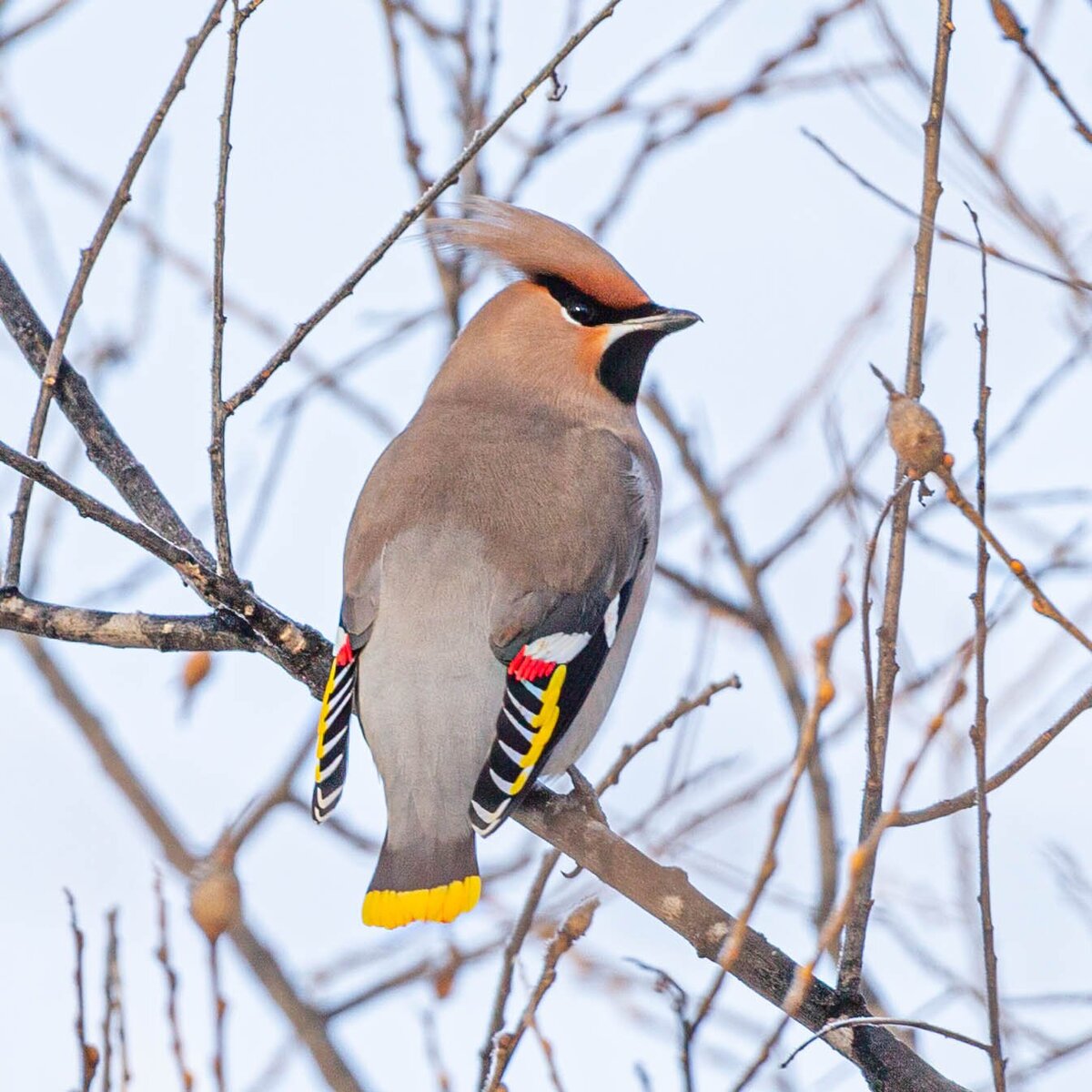 фото взято из открытых источников в Сети