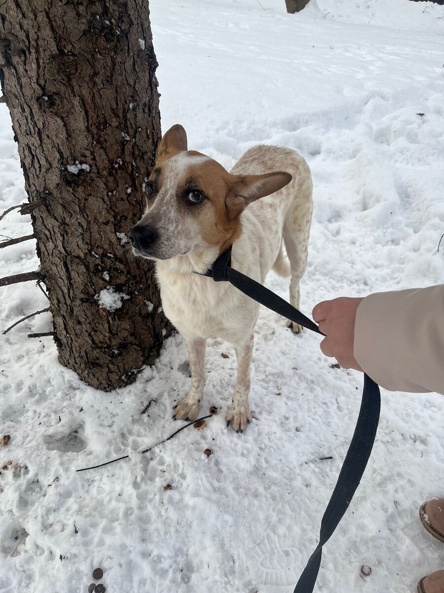 Она хотела быть пойманной