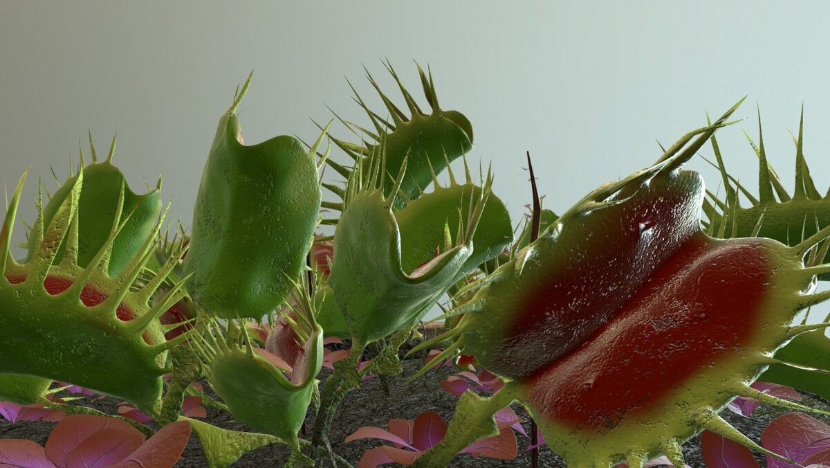 выставка хищных растений. ривьера выставка хищных растений. хищный цветок кактуса. хищные комнатные растения. экспозиция хищных растений.