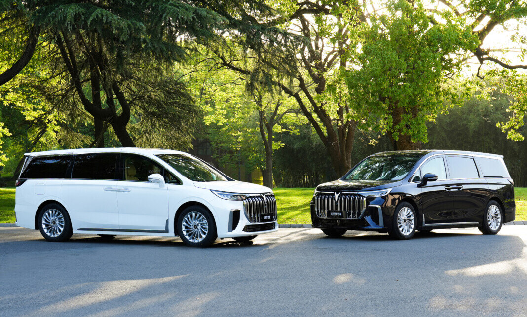 Воя Мечта 2024