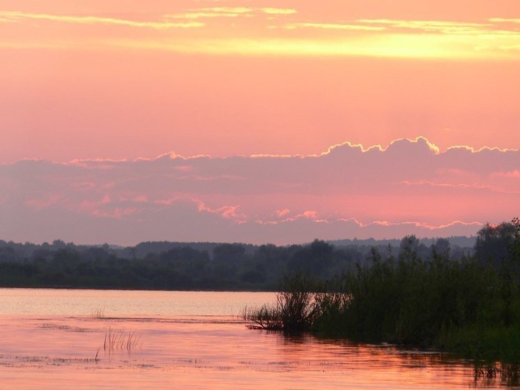     Вода поднимается в реке – к морозу. фото: мк в ленобласти