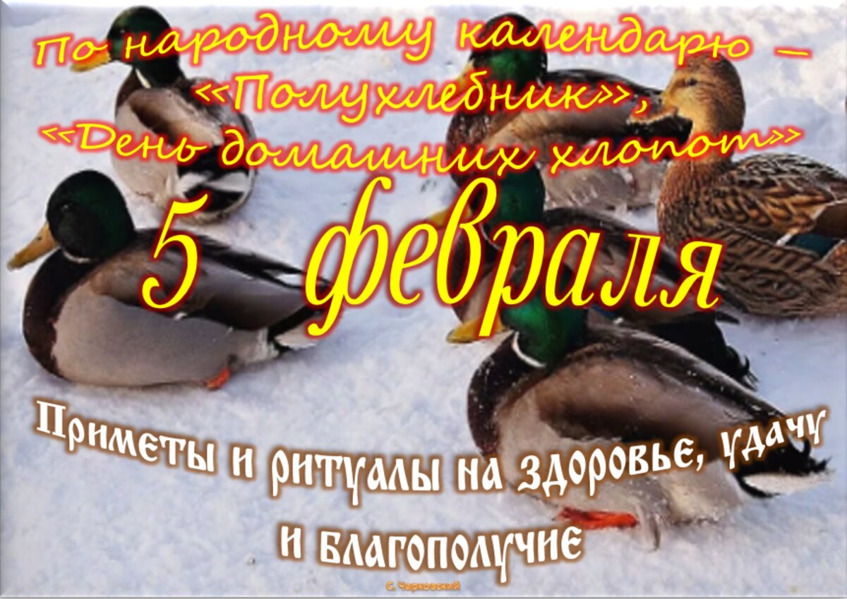 Встречаем новый день 