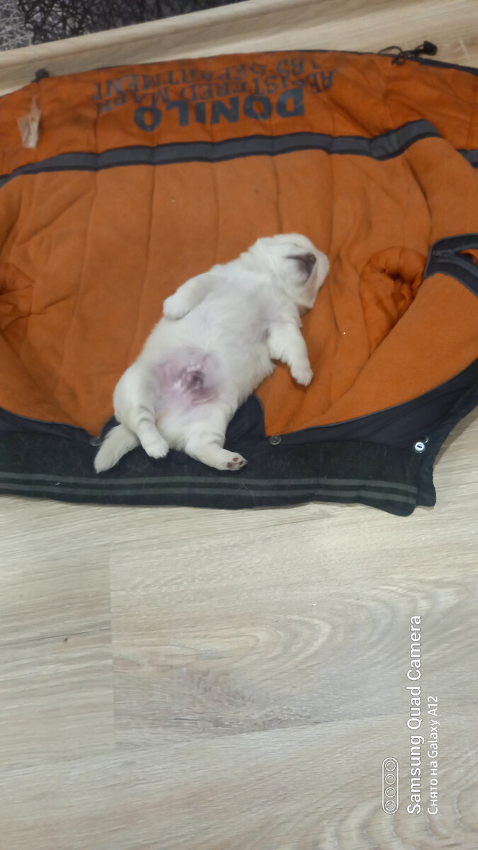 Мой сынок😘😘😘