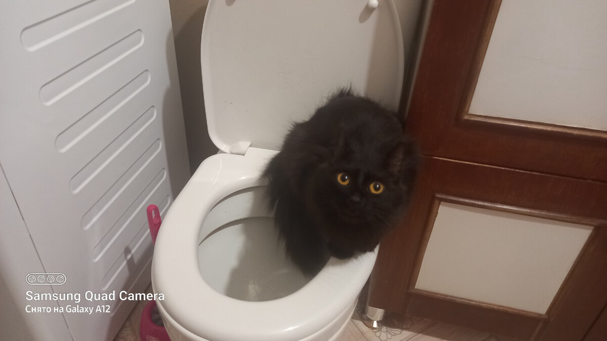 Семен пытается слиться с местностью🤣