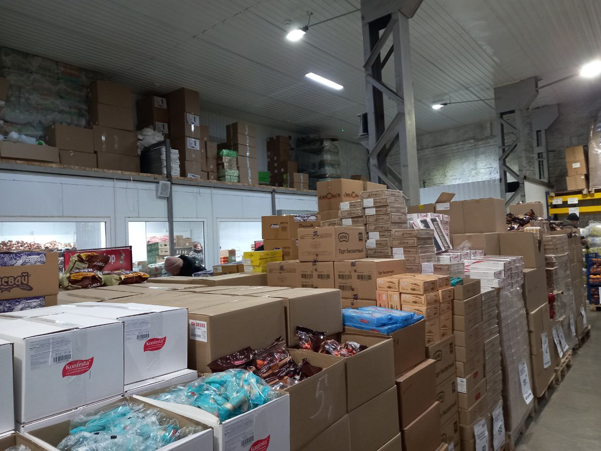 Фото автора. 4 февраля 2024 года.