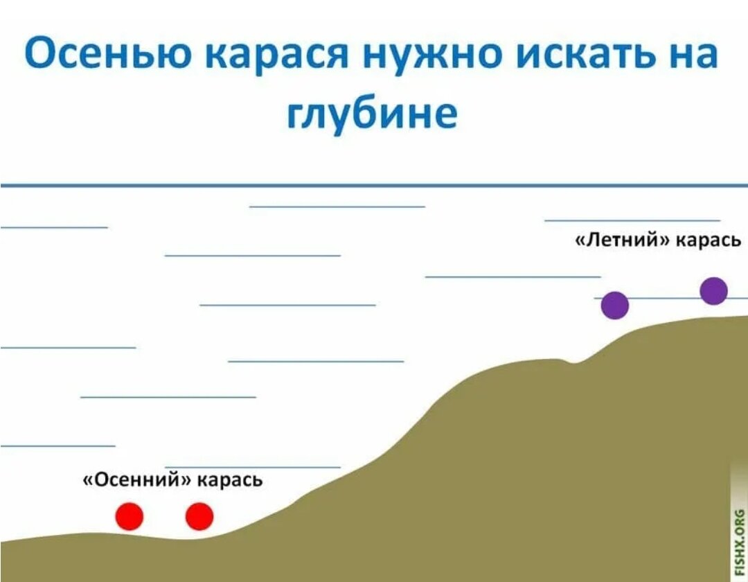 Места ловли карася