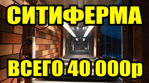 Это не стеллаж для рассады а СИТИ ФЕРМА себестоимость 40 000 рублей