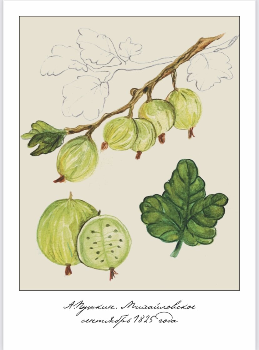 Автор открытки Оля Дорофеева, иллюстратор Саша Косолапова 