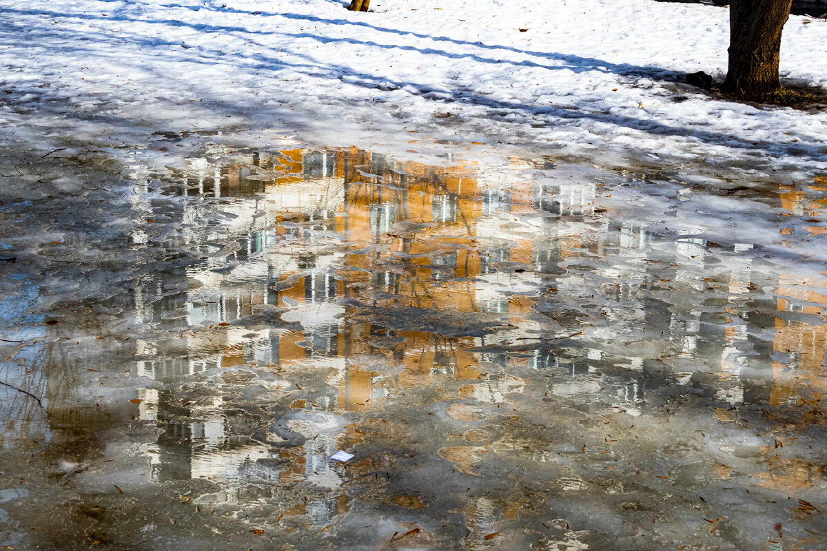 Фото: Konstantin Kokoshkin/Globallookpress