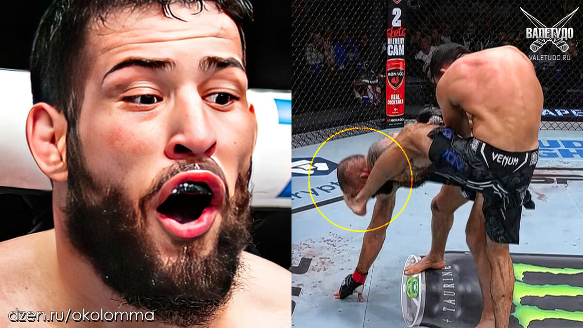 Нассурдин Имавов и Роман Долидзе | valetudo.ru 