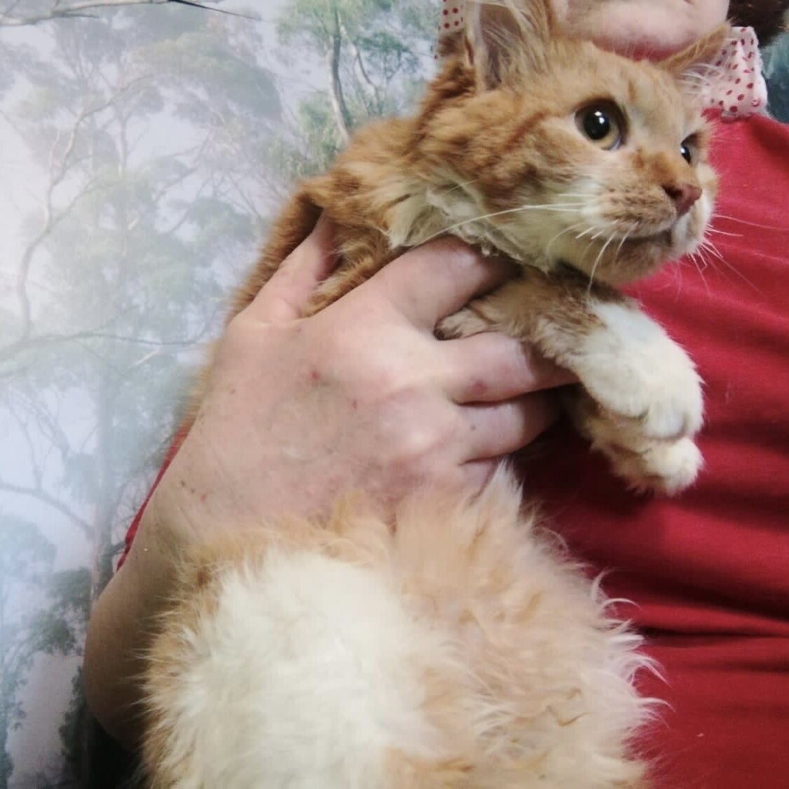 Доктор знает ставрополь улица рогожникова врачи. Клиника титан санкт-петербург. Клиника доктор знает ставрополь на рогожникова. Клиника знать на нарвской. Открытая клиника на пресне москва.