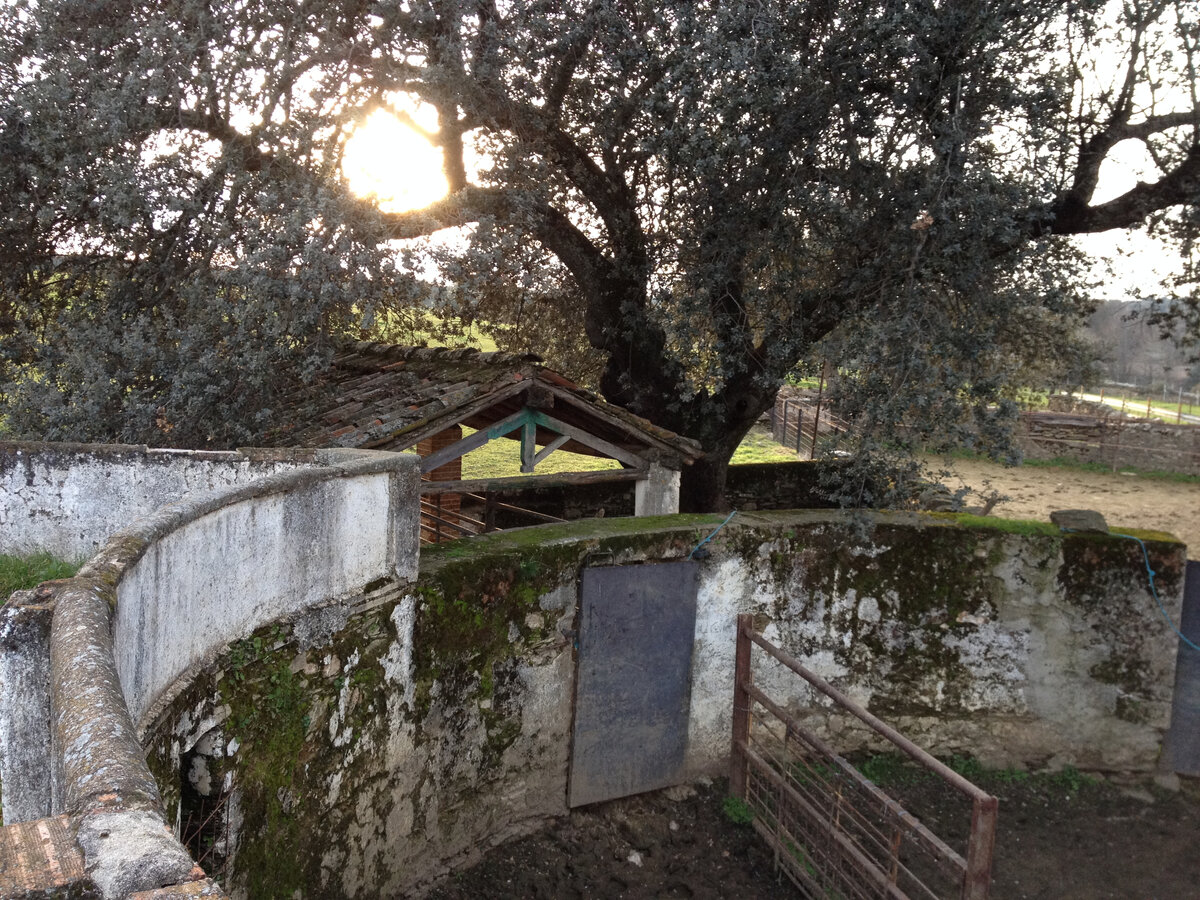 Вот так выглядит эта конструкция