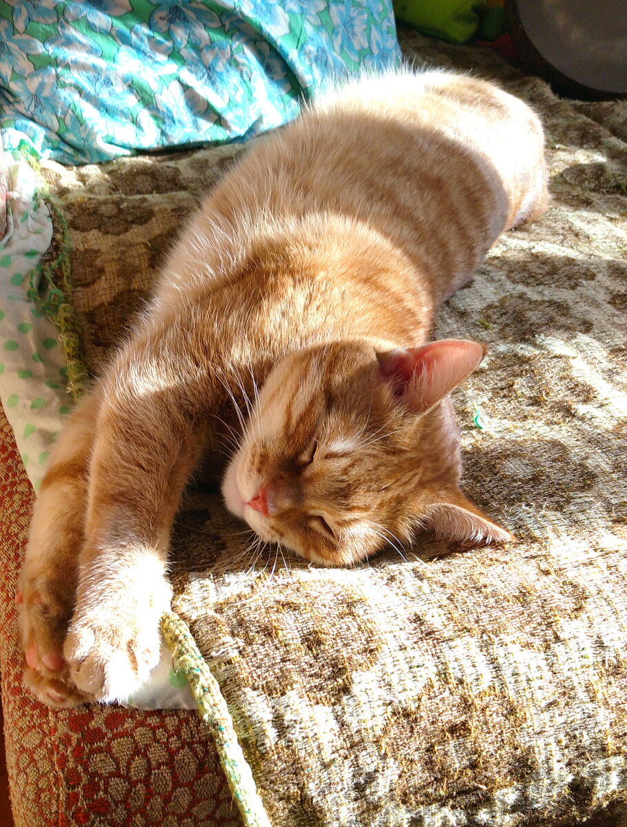 Личное фото.