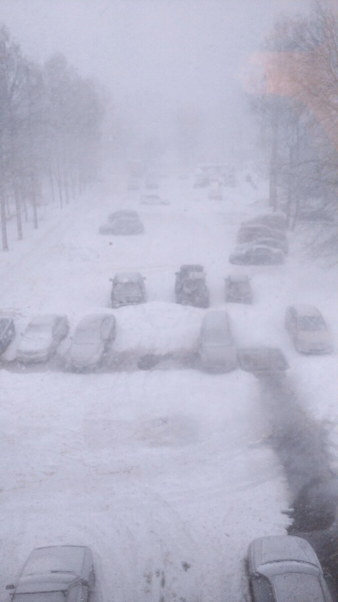 Личное фото.