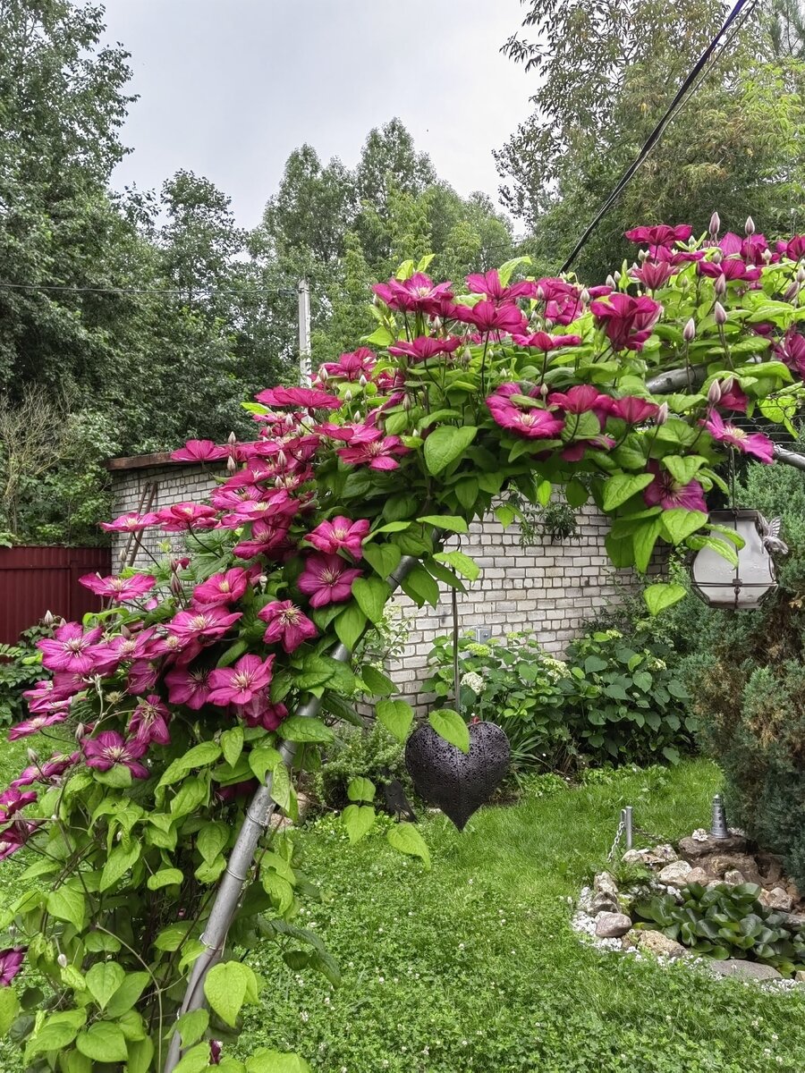 "Виль де Лион"