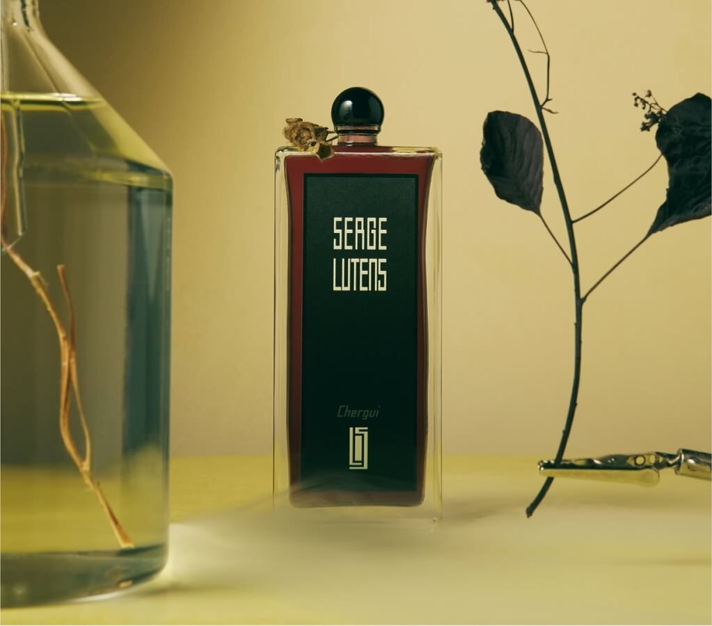 можжевельник обыкновенный лекарственные препараты. аромаванна «можжевельник». можжевельник в парфюмерии чем пахнет. Yves rocher духи можжевельник. эфирное масло кедра дотерра.