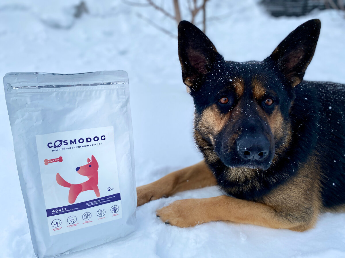 Сколько сухого корма давать щенку немецкой овчарки. Сколько сухого корма давать щенку немецкой овчарки. Сколько сухого корма давать щенку немецкой овчарки. Суточная норма корма для собак таблица. Кормление щенка немецкой овчарки 3 месяца.