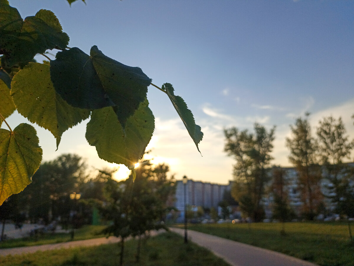 Городская среда