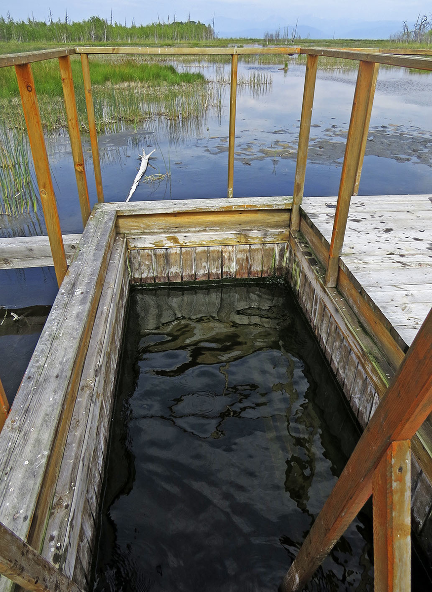 Грифоны Кулиных болот. Из-за какой угрозы расселили деревню на Байкале ...
