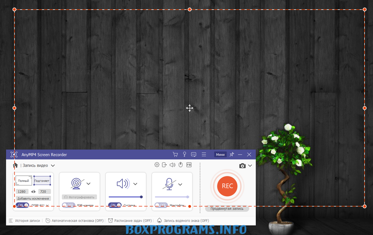 AnyMP4 Screen Recorder - ваш надежный друг для записи видео с экрана |  Программы для пк скачать бесплатно - Boxprograms.info | Дзен