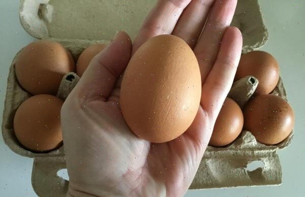 А вот это - красота! Яйцо чуть ли не с пол-ладошки. Тоже смотрите следующее фото.