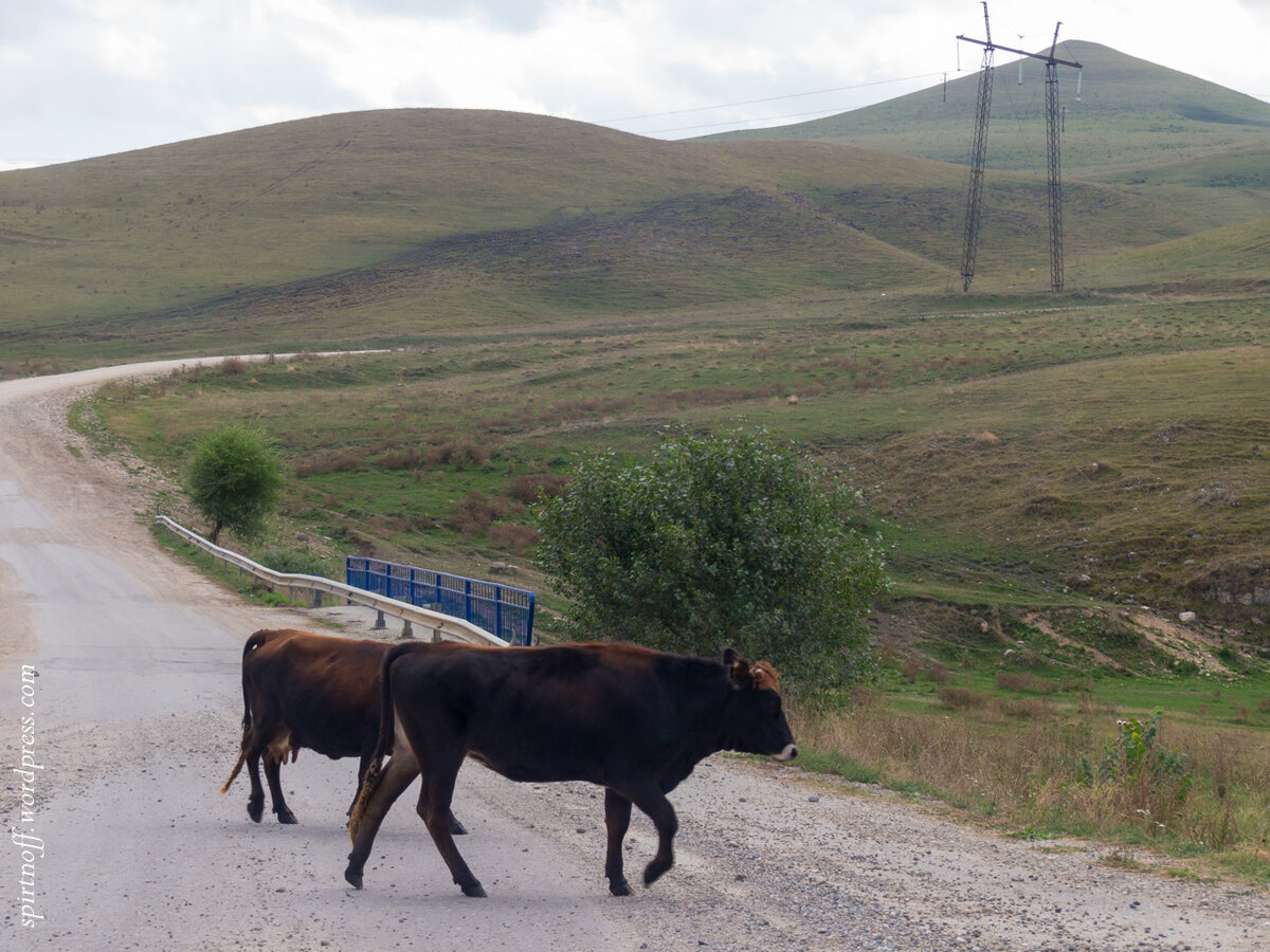 Фотография из открытых источников. 