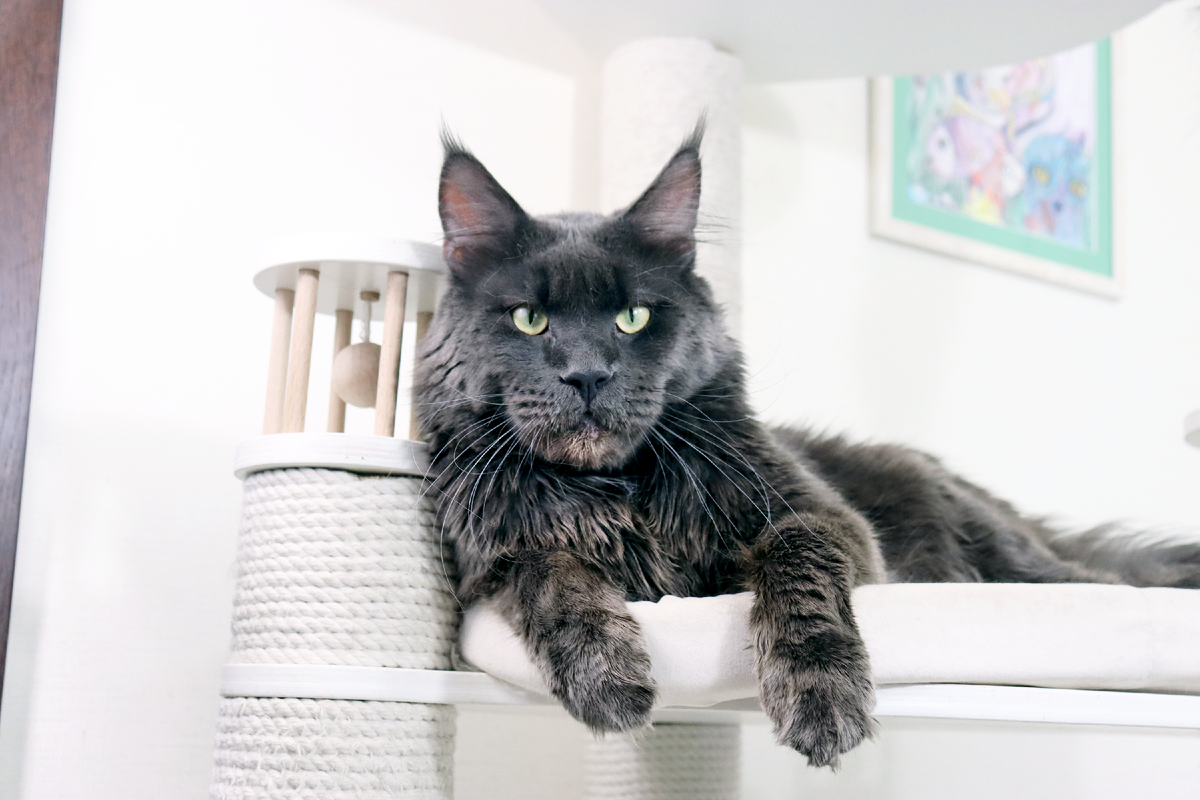 Фото из личного архива. Пончик