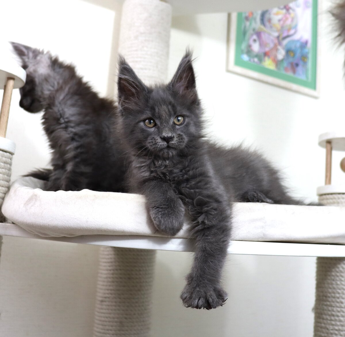 Фото из личного архива.