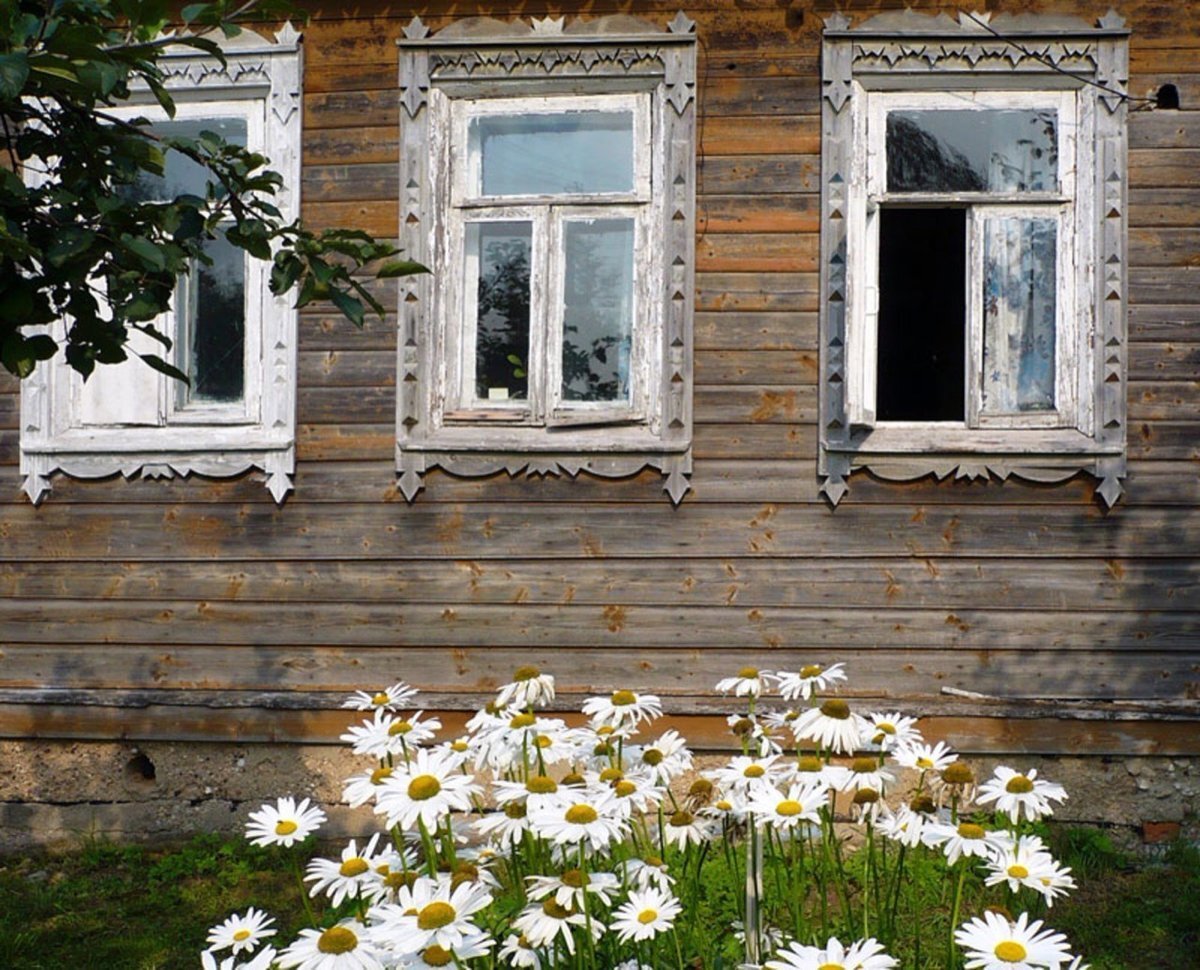 фото из интернета