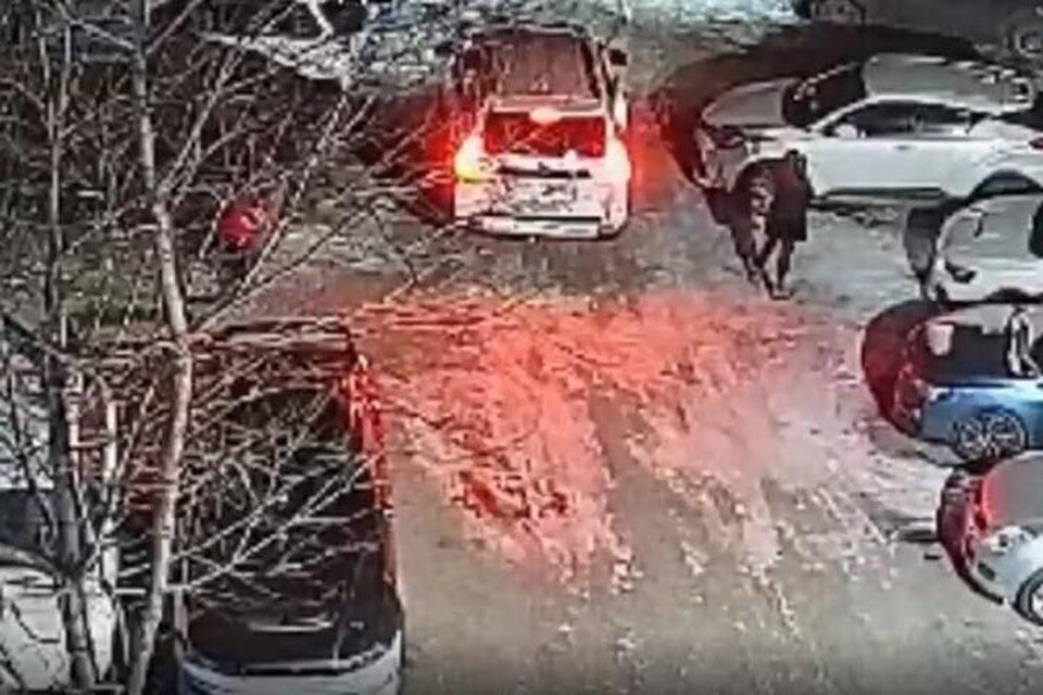    Женщину просят связаться с владелицей поврежденного автомобиля. принтскрин видео.