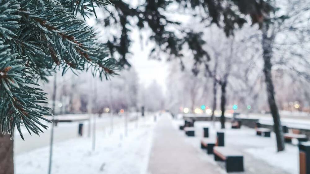 виды ветров. ухудшение погодных условий. названия морских ветров. виды ветра названия. виды ветра названия.