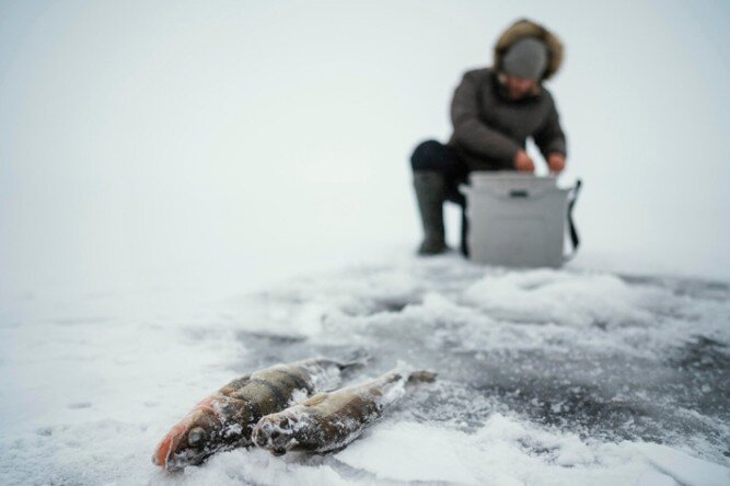 Фото: ru.freepik.com 