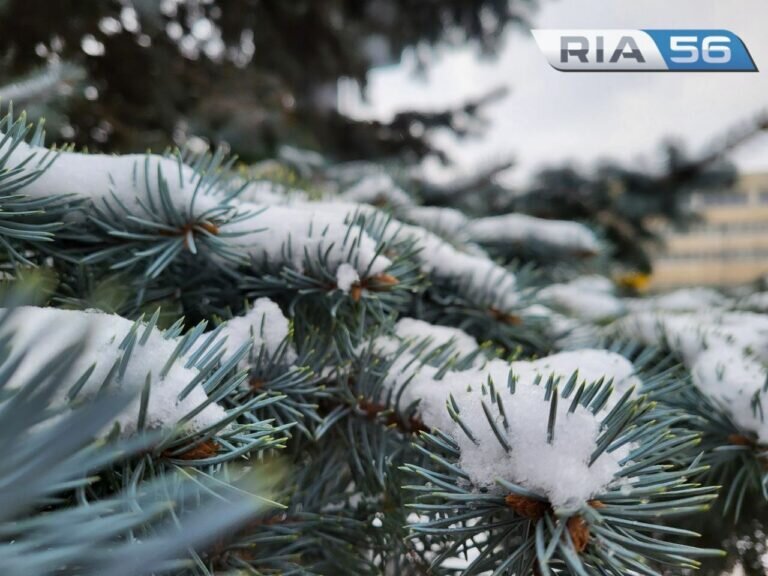    Оттепель и снег. Днем, 5 февраля, в Оренбуржье ожидается метель, морось и +2 градуса Кристина Просвиркина