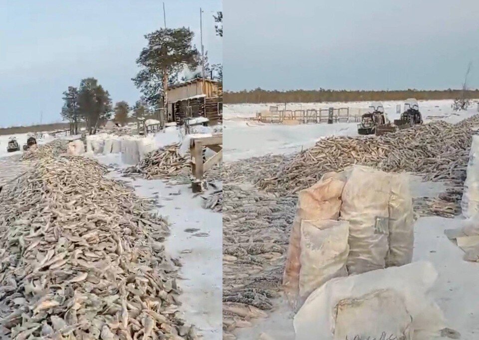 Пожар гараж якутск. Арктический центр якутск. Последствия пожаров в якутии. Пожар фото. Пожар на заводе.