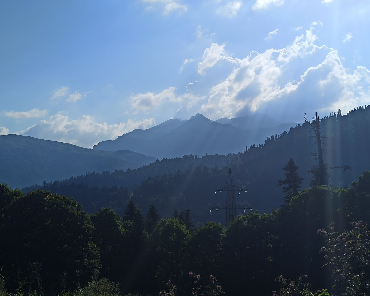 лагонаки краснодарский край. плато лагонаки альпийские луга. горы лаго-наки адыгея. плато лагонаки. видина плато лаго наки.