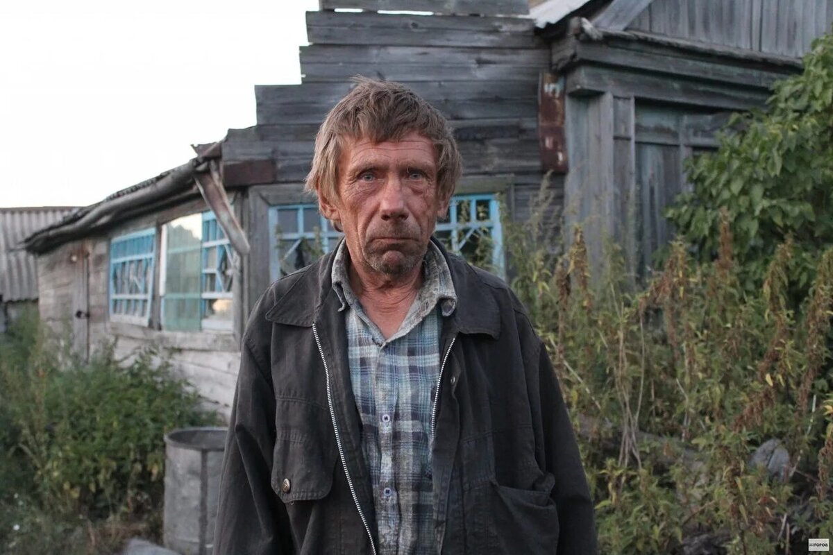 много щенков. суббота котики. покажи всякие там. смешные кошки много. селфи кота мэнни.