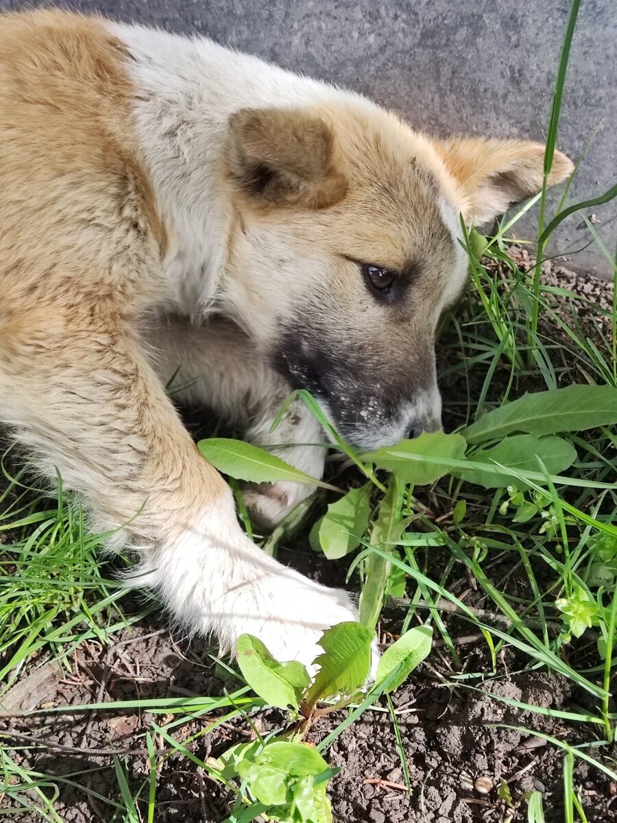 Tg гендер бендер трансформация. Превратил друга в девушку. Феминизация трансформация. Трансформация в девушку. Isekai bishoujo juniku ojisan.
